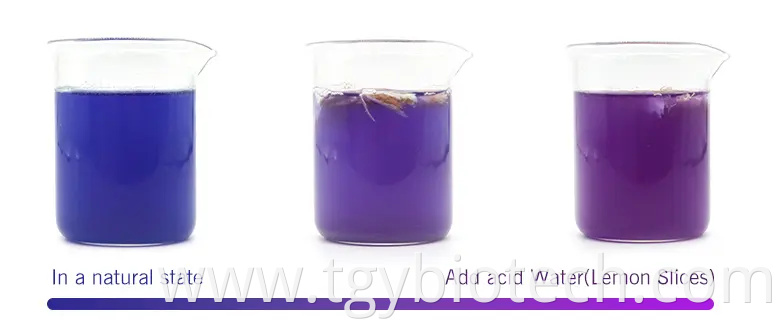 butterfly pea flower powder